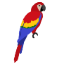 Картинки по запросу a parrot clipart